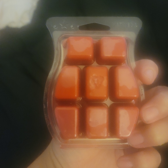 Scentsy wax melts disney - Picture 2 of 2